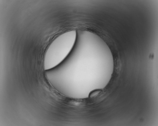 X0000110770563200906150957
