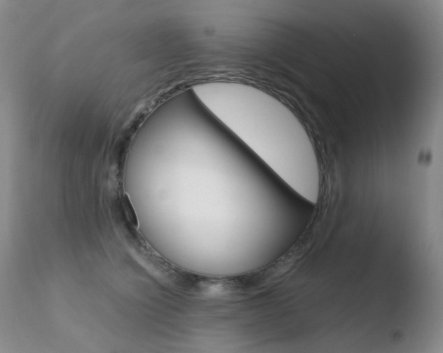 X0000110770564200906150957