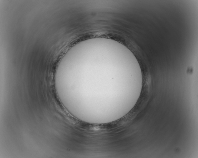 X0000110770565200906150957