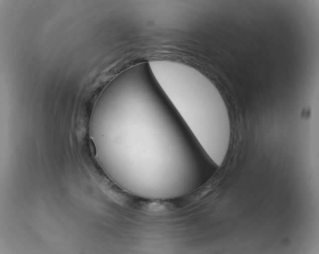 X0000110770566200906150957