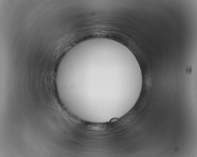 X0000110770567200906150957
