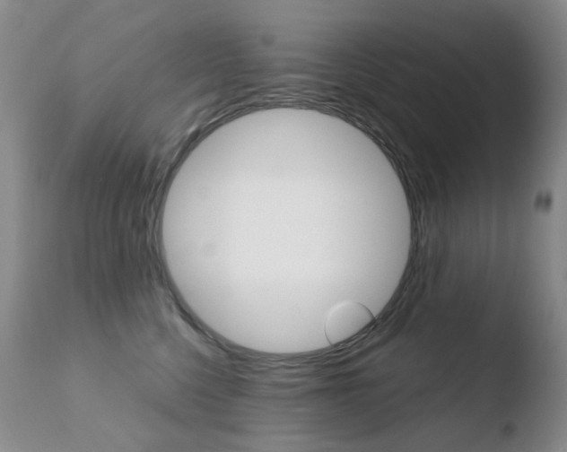 X0000110770568200906150957