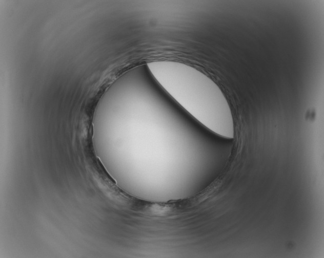 X0000110770570200906150957