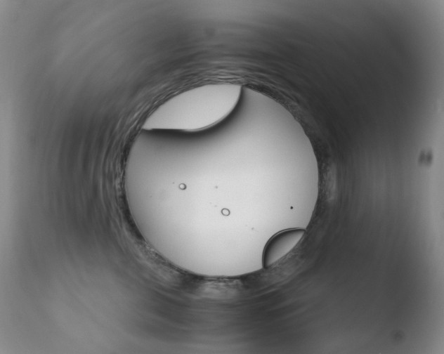 X0000110770571200906150957
