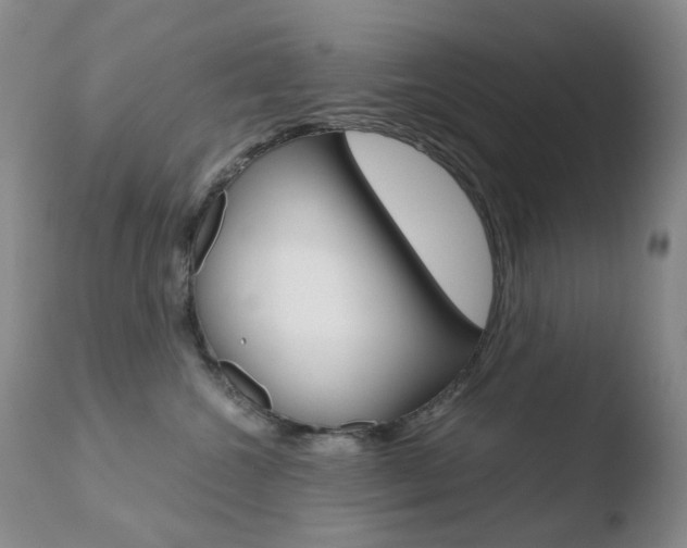 X0000110770572200906150957