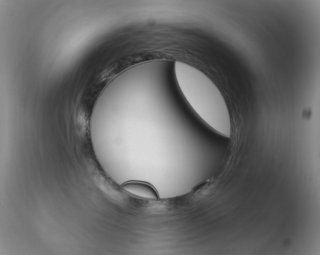 X0000110770574200906150957