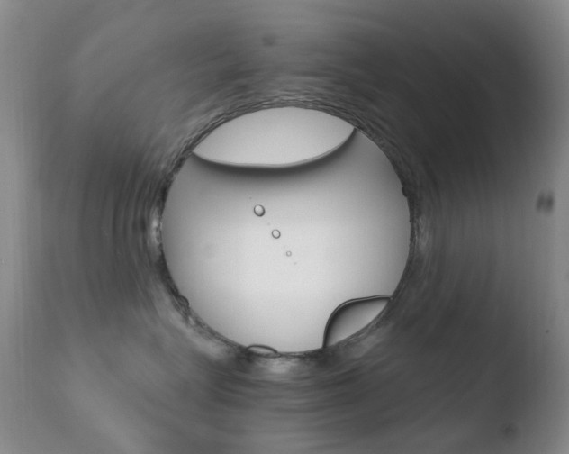 X0000110770575200906150957