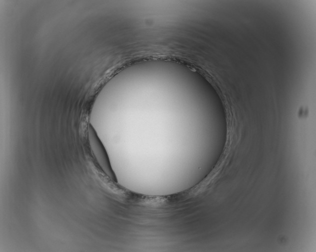 X0000110770576200906150957