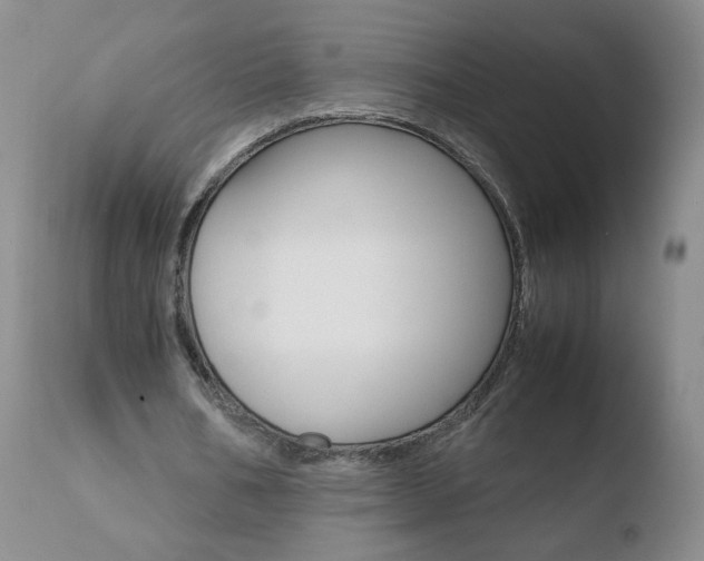 X0000110770578200906150956