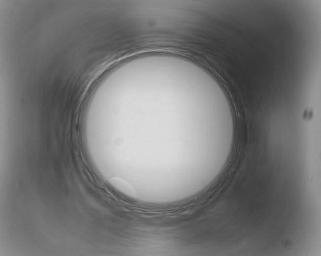 X0000110770579200906150956