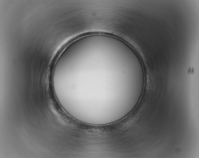 X0000110770580200906150956
