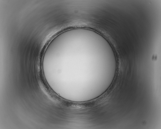 X0000110770582200906150956