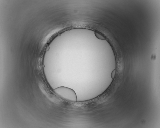 X0000110770583200906150956