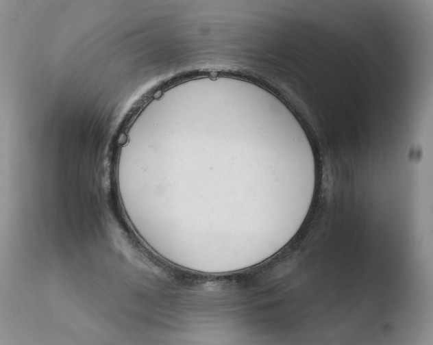 X0000110770584200906150956
