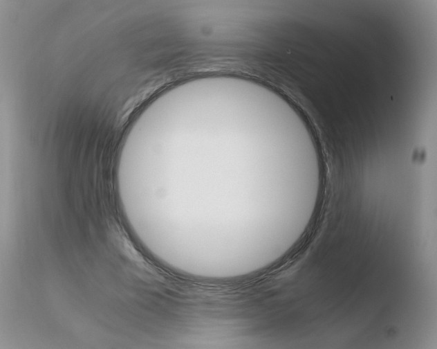 X0000110770585200906150956