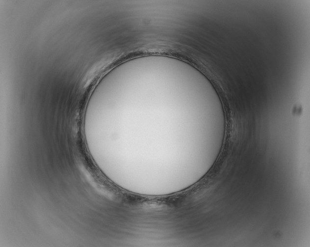 X0000110770586200906150956
