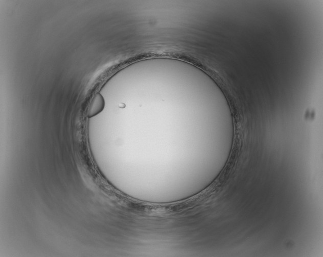 X0000110770587200906150956