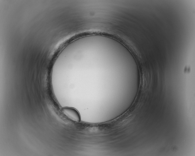 X0000110770588200906150956