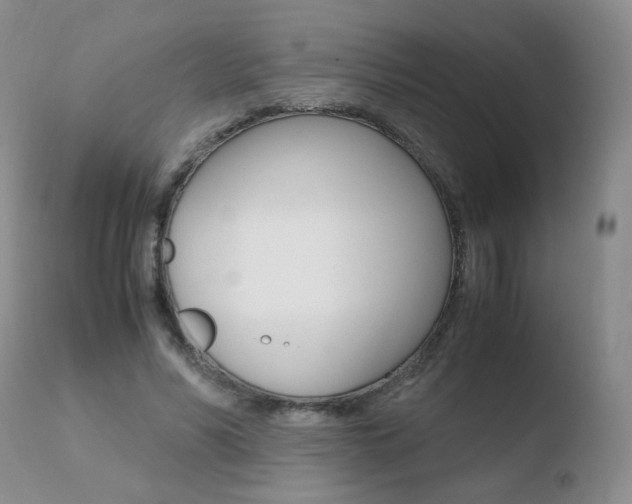 X0000110770590200906150956