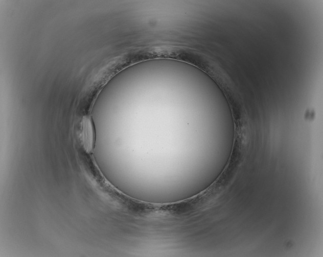 X0000110770593200906150956