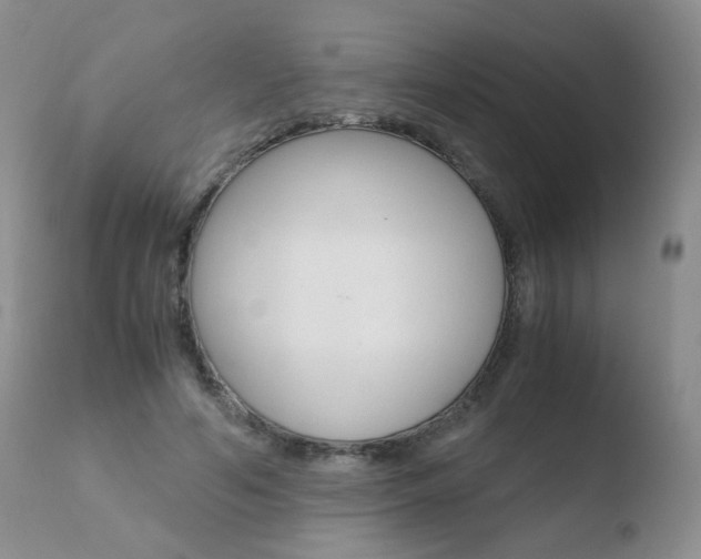X0000110770594200906150956