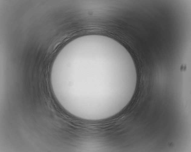 X0000110770595200906150956