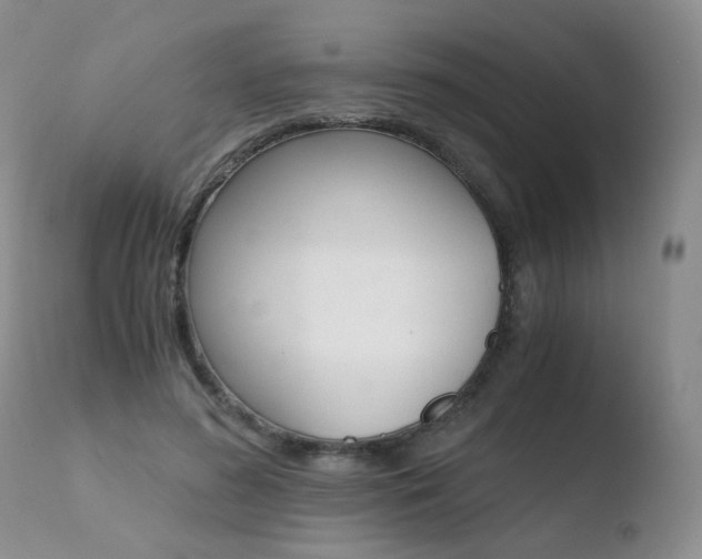 X0000110770596200906150955
