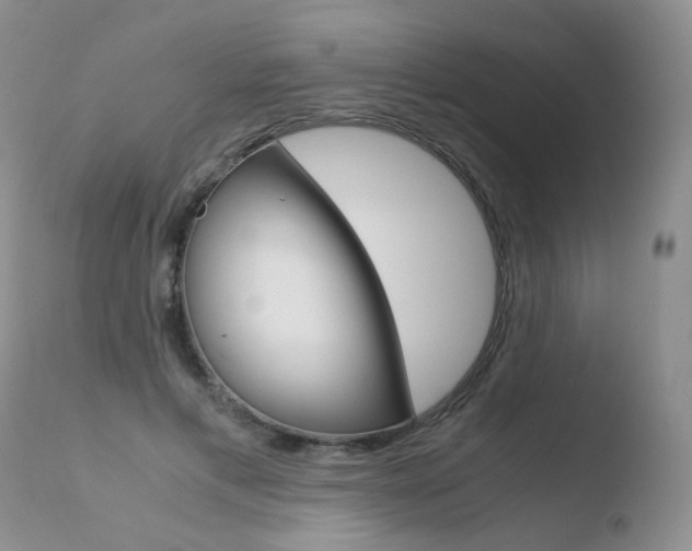 X0000110770597200906150955