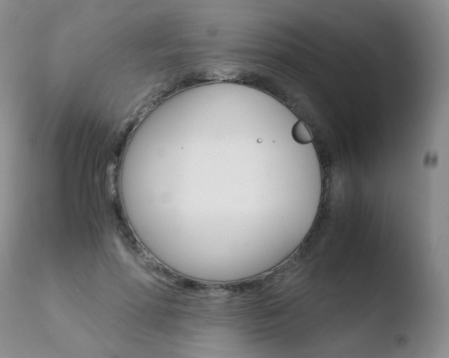 X0000110770598200906150955