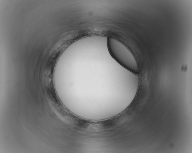 X0000110770599200906150955