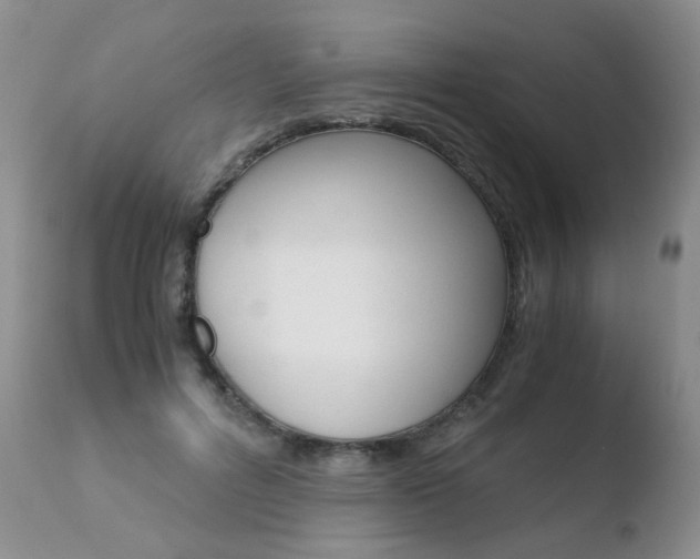 X0000110770600200906150955
