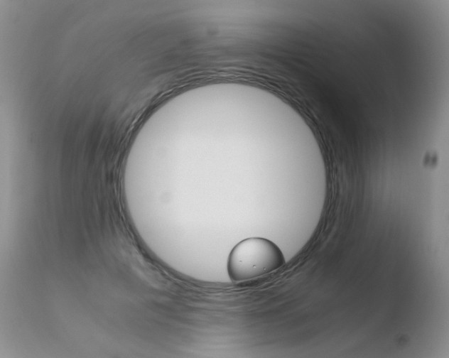 X0000110770601200906150955