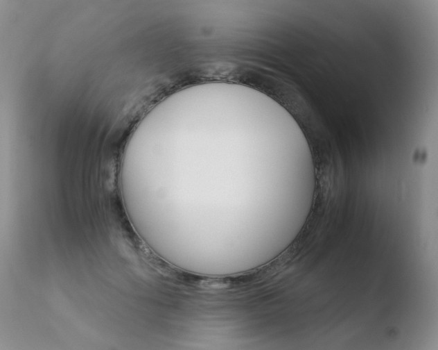 X0000110770602200906150955