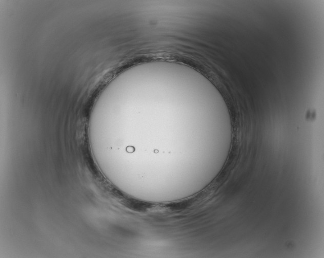 X0000110770603200906150955