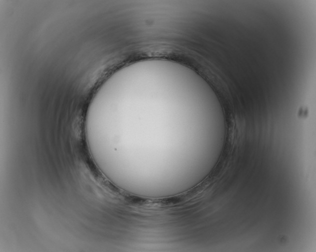 X0000110770604200906150955