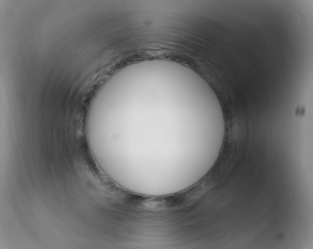 X0000110770606200906150955
