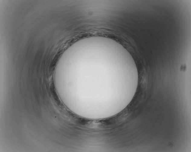 X0000110770607200906150955
