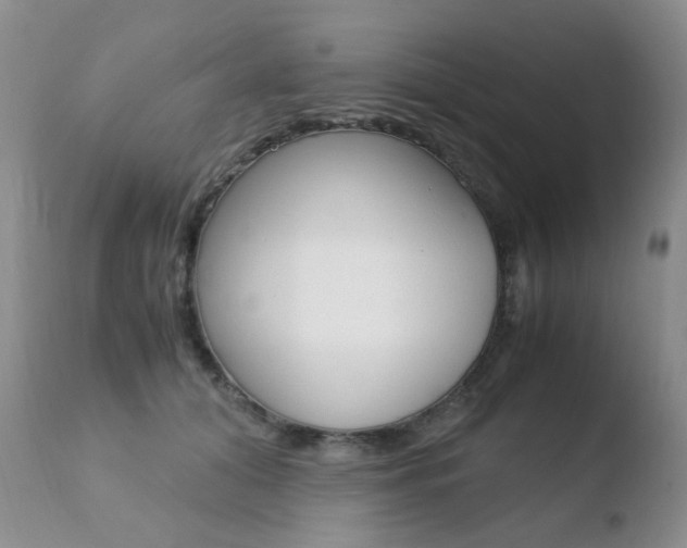 X0000110770608200906150955