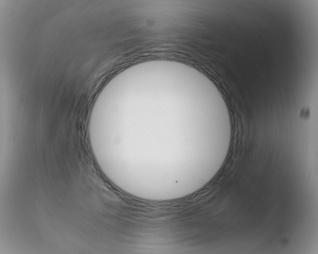 X0000110770609200906150955