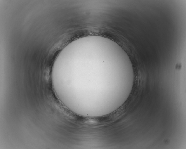 X0000110770610200906150955