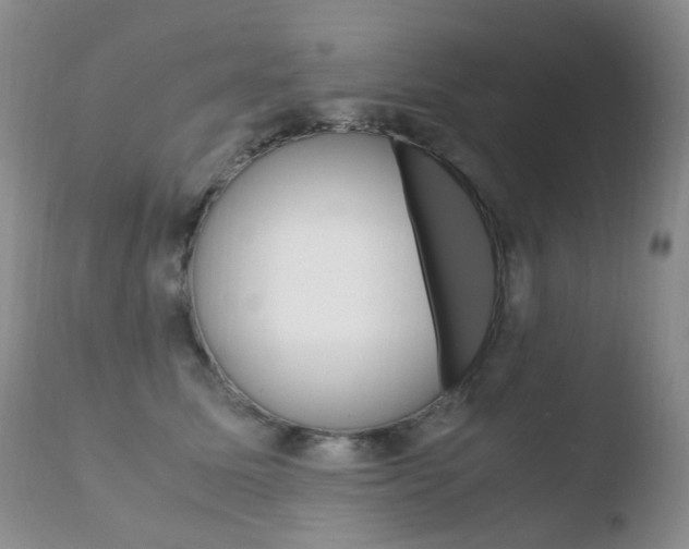 X0000110770611200906150955