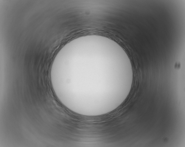X0000110770613200906150955