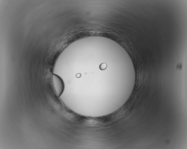 X0000110770614200906150955