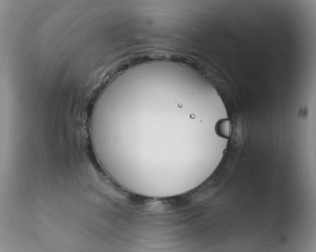 X0000110770616200906150955