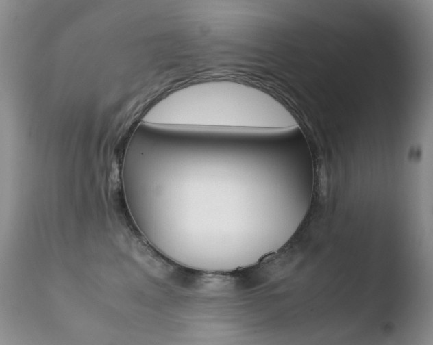 X0000110770617200906150955
