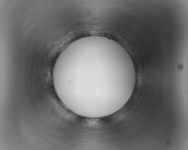 X0000110770618200906150955