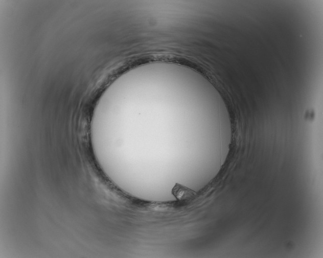 X0000110770619200906150955