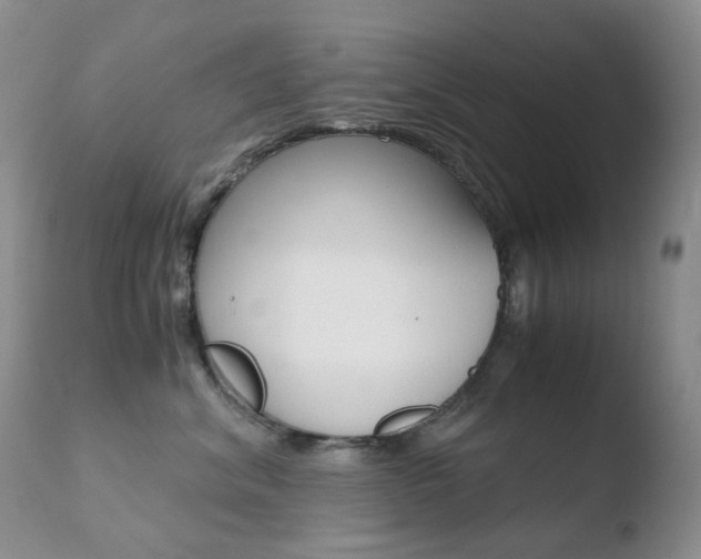 X0000110770620200906150955