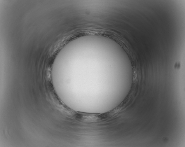X0000110770621200906150955