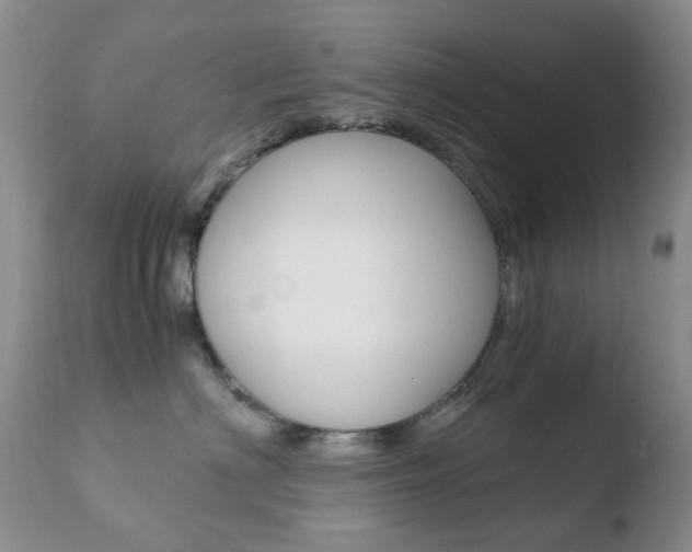 X0000110770622200906150955